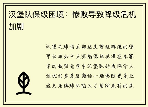 汉堡队保级困境：惨败导致降级危机加剧