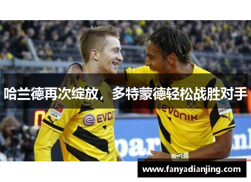 哈兰德再次绽放，多特蒙德轻松战胜对手