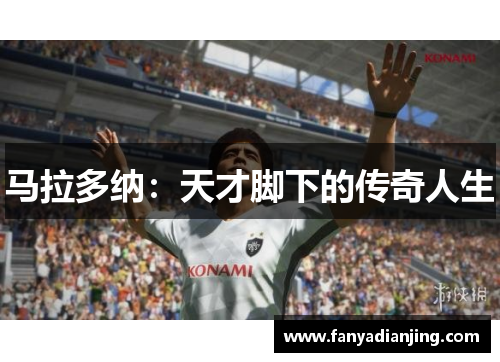 马拉多纳：天才脚下的传奇人生