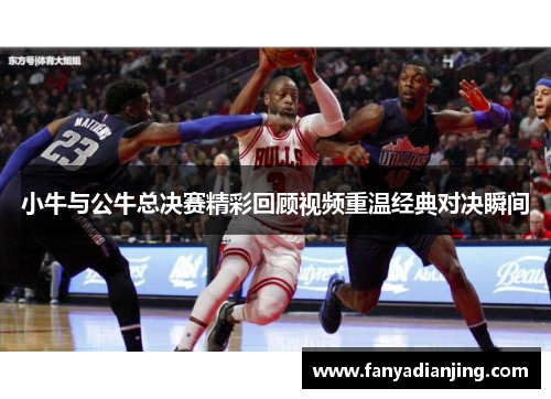 小牛与公牛总决赛精彩回顾视频重温经典对决瞬间