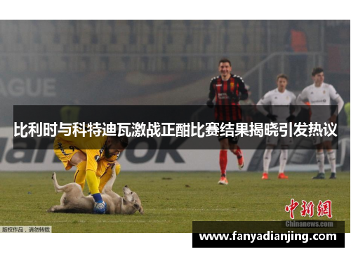 比利时与科特迪瓦激战正酣比赛结果揭晓引发热议